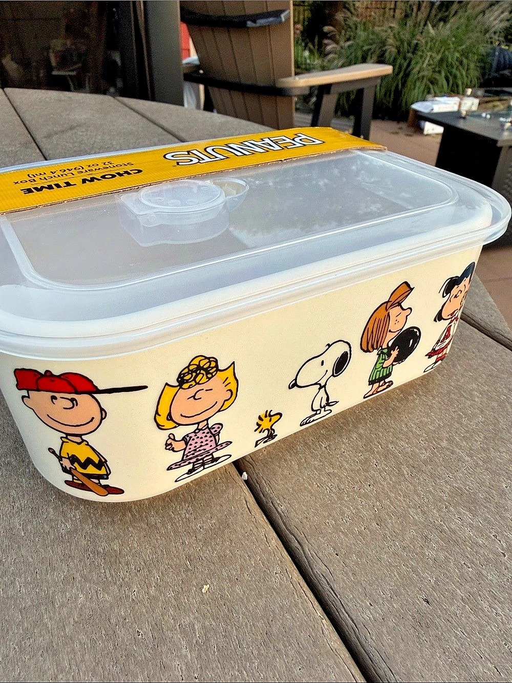 Peanuts Chow Time Stoneware Lunch Box